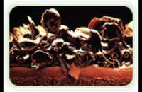 Coberturas de chocolate